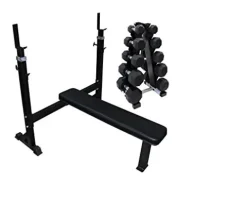 Ader Heavy Duty 2-IN-1 Squat Bench Rack, Flat Bench with Weights (Bench + Dumbbells)