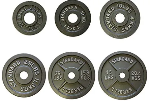 Ader Sporting Goods Olympic Plates 255 Lb Set Gray