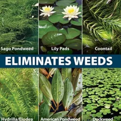 Airmax Wipeout Pond Weed Defense Herbicide 32 Ounce White