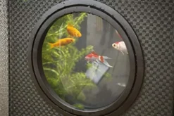 Aquagarden Complete Raised Window Pond Kit – Octagon Mocha