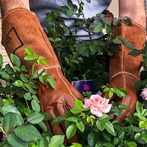 ArtAK Bulk 88 Pairs Rose Pruning Gloves Brown