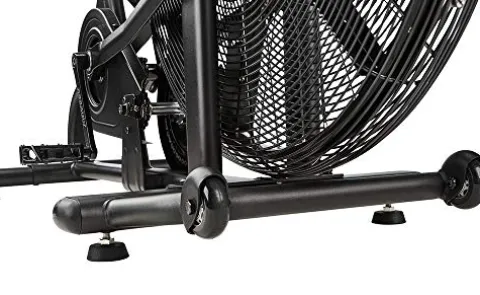 Assault Fitness Assault AirBike Classic Black