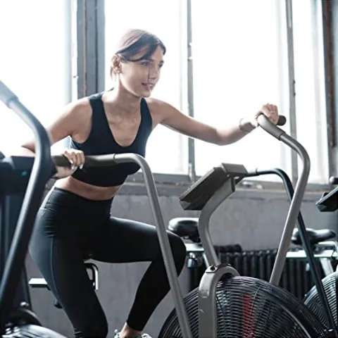 Assault Fitness Assault AirBike Elite Grey