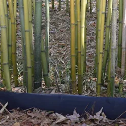 Bamboo Shield Bamboo Root Barrier/Water Barrier 200ft x 24in x 60mil Black