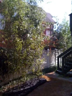 Bamboo Shield Bamboo Root Barrier/Water Barrier 200ft x 24in x 60mil Black