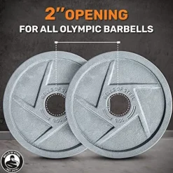 Bells of Steel Cast Iron Weight Plates Mighty Grip Olympic Plates Gray