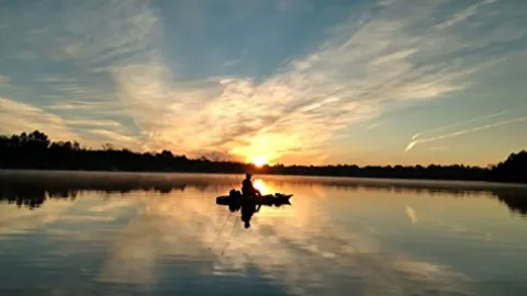 BENDING BRANCHES Angler Pro Carbon Kayak Paddle Straight Shaft