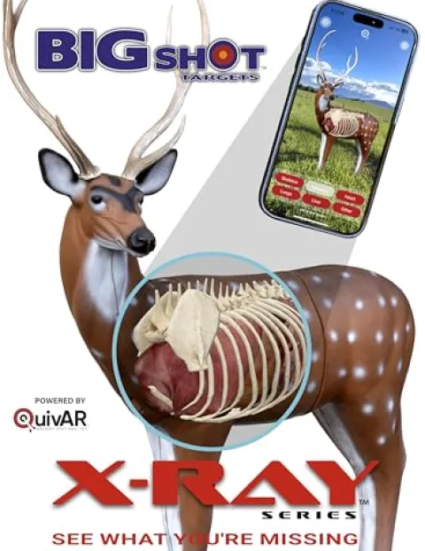 BIGSHOT Real Wild X-Ray Series Axis Deer EZ Pull Foam Archery Target Multicolor