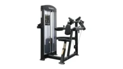 BK BodyKore Lateral Raise GR605 Black Frame