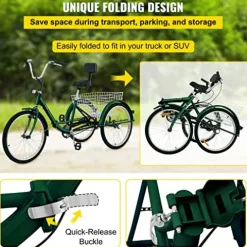 Bkisy Adult Tricycle 24” 1-Speed Green