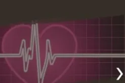 Body-Solid Elliptical Trainer Machine (E5000) Black