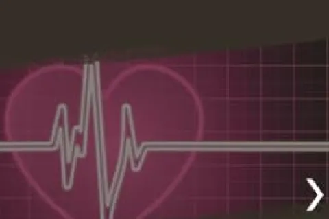 Body-Solid Elliptical Trainer Machine (E5000) Black