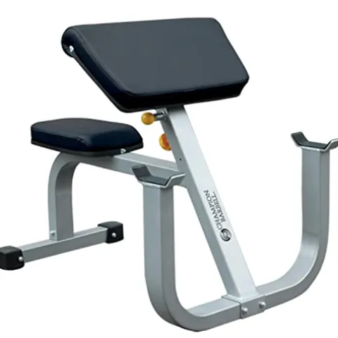 BSN Adjustable Preacher Curl Bench Black Ivory