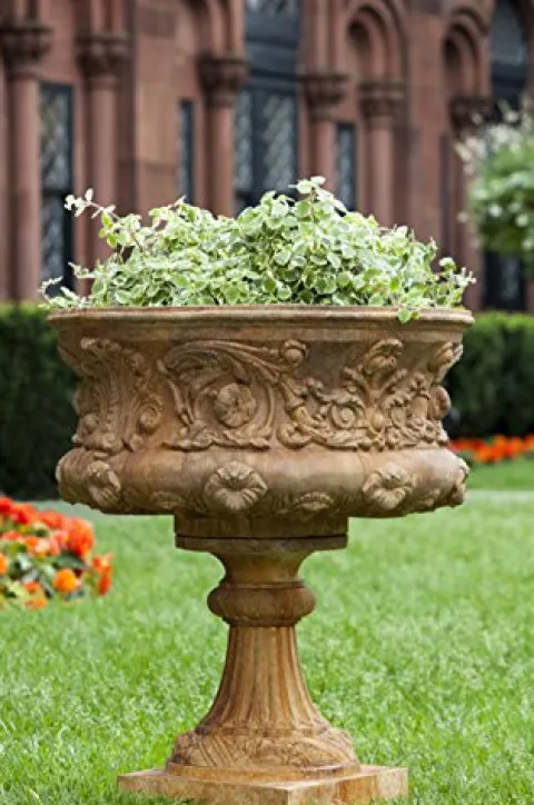 Campania International Smithsonian Morning Glory Urn 2-Piece Aged Limestone Finish