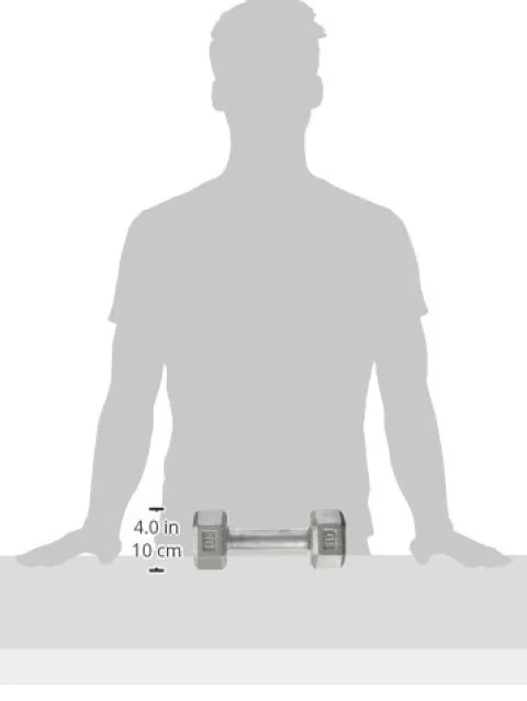 Champion Barbell Solid Hex Dumbbell 90 lb Grey