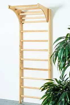 CleverWood Swedish Ladder Stall Bars Set for Physical Therapy & Gymnastics