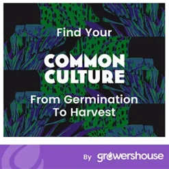 COMMON CULTURE Professional Grade Trellis Netting Bulk Roll 6.5ft x 4920ft Heavy Duty Scrog Net