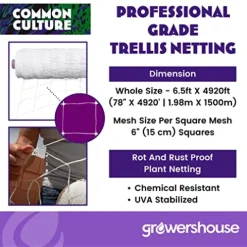 COMMON CULTURE Professional Grade Trellis Netting Bulk Roll 6.5ft x 4920ft Heavy Duty Scrog Net