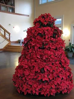 Creative Displays Inc Full Round Poinsettia Tree Rack Display 1056 Green 5.5 Ft