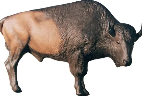 Delta McKenzie Bison Mid Multicolor