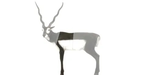 Delta McKenzie Black Buck Mid Multicolor