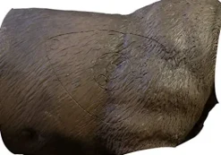 Delta McKenzie Grizzly Bear Archery Target Replacement Body Multicolor