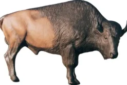 Delta McKenzie HD Bison 3D Target Multicolor