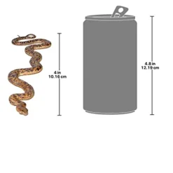 Design Toscano Giant Burmese Python Snake Statue Full Color