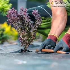 Dewitt P5 Pro 5 Ounce Weed Barrier Ground Fabric Black 5 x 250 Feet (6 Pack)