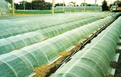 DIO-Betalon 78″ x 328′ DT-550 PVA Agricultural Floating Row Cover Natural