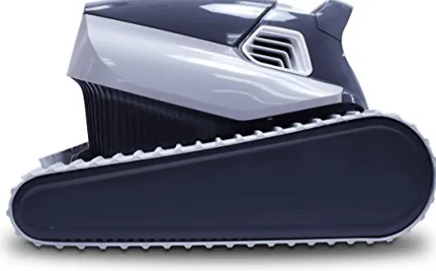 Dolphin Quantum Robotic Inground Pool Cleaner