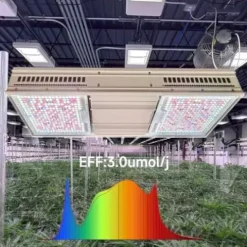 DREAM SPACE 800W LED Grow Light 4x6ft Dimmable UV IR for Indoor Hydroponics