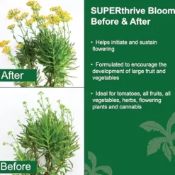 Dyna-Gro BLM-550 Bloom Liquid Plant Food 3-12-6 55-Gallon