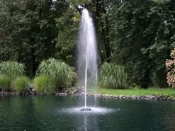 EasyPro Pond Products AquaFountain 1 HP with Timer, GFI & Nozzles Black