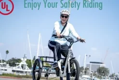 EMOJO Bull 8.5″ Low Step Through Electric Tricycle 500W 7 Speed Blue