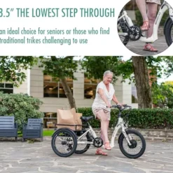 EMOJO Bull 8.5″ Low Step Through Electric Tricycle 500W 7 Speed Blue