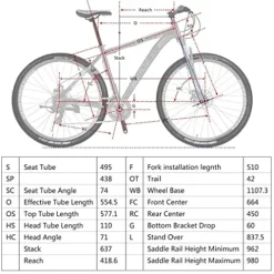 EUROBIKE Mountain Bike 29″ Men Lightweight Aluminum Frame 21-Speed Bicycles for Mens Bikes (Silvery)