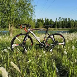 EUROBIKE Road Bike 700C Wheels 21 Speed Disc Brake Bicycle 54cm Cycling Black Red