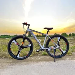 EUROBKE Mens Mountain Bike 29 inch X9 Silvery 3-Spoke