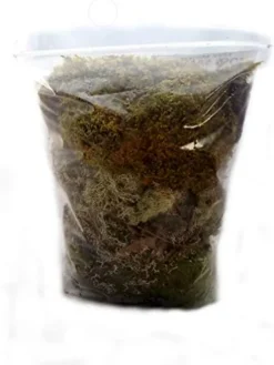EZ Botanicals Live Mixed Moss Sampler – Premium Terrarium Grade – Pest Free 100 Quart
