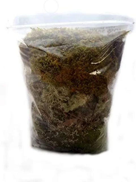 EZ Botanicals Live Mixed Moss Sampler – Premium Terrarium Grade – Pest Free 100 Quart