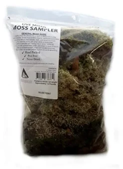 EZ Botanicals Live Mixed Moss Sampler – Premium Terrarium Grade – Pest Free 100 Quart