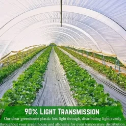 Farm Plastic Supply 4 Year Clear 6 Mil Greenhouse Plastic Sheeting 50′ x 100′ Clear