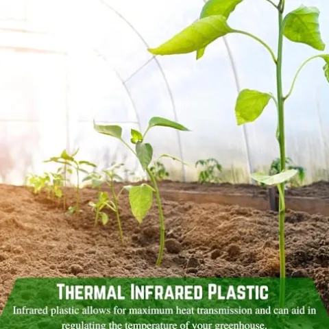 Farm Plastic Supply Clear Coolmax Greenhouse Plastic Sheeting 6 Mil 40′ x 100′