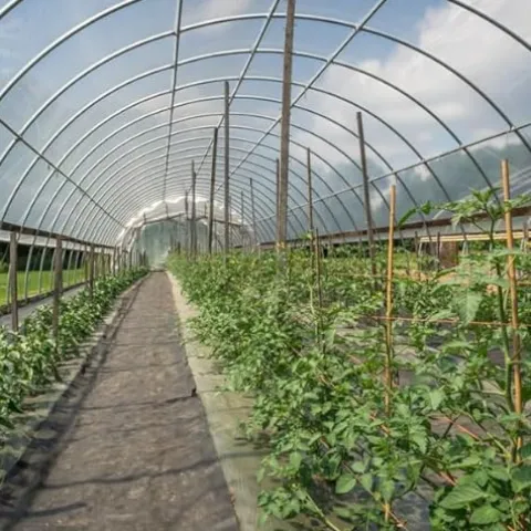 Farm Plastic Supply Clear 6 Mil Vapor Barrier Greenhouse Plastic Sheeting 40′ x 120′