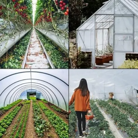 Farm Plastic Supply Clear 6 Mil Vapor Barrier Greenhouse Plastic Sheeting 40′ x 120′