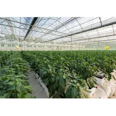 Farm Plastic Supply Clear 6 Mil Vapor Barrier Greenhouse Plastic Sheeting 40′ x 120′