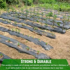 Farm Plastic Supply Heavy Duty Weed Control 6 Mil Black Plastic Sheeting 40′ x 200′