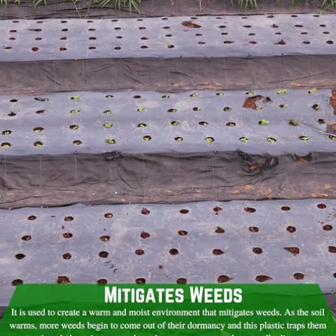 Farm Plastic Supply Heavy Duty Weed Control 6 Mil Black Plastic Sheeting 40′ x 200′