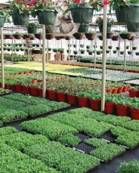 Farm Plastic Supply String Reinforced Silage Cover Black/White 6 Mil 52′ x 50′ Heavy Duty Polyethylene